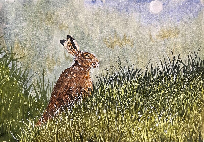 Hare by Night in Watercolour