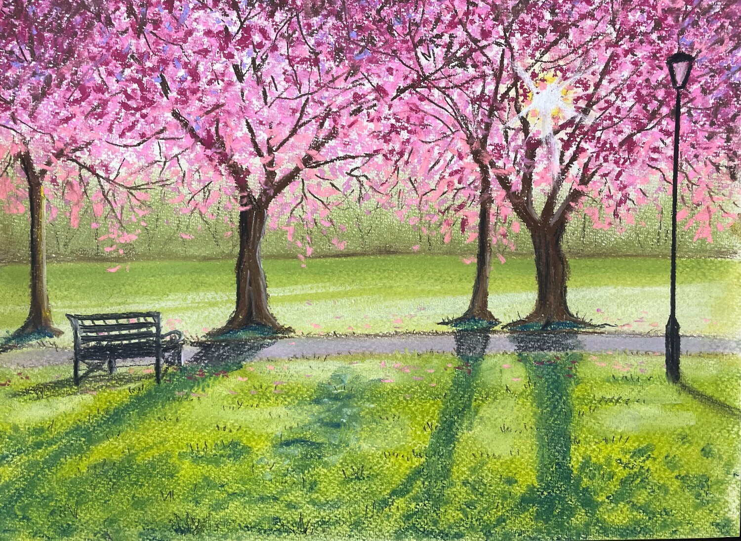 Pink Blossom, Green Gradd and Long Shadows in Pastels