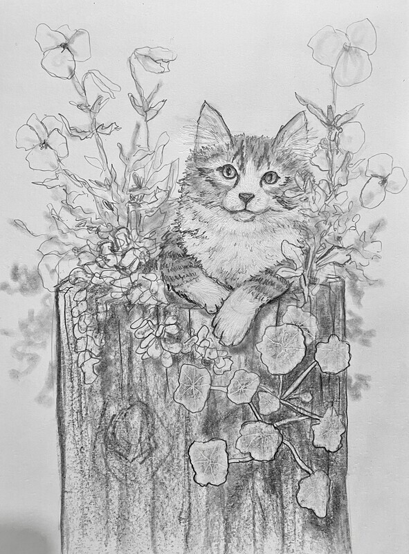 Kitten in Nasturiums in Pencil