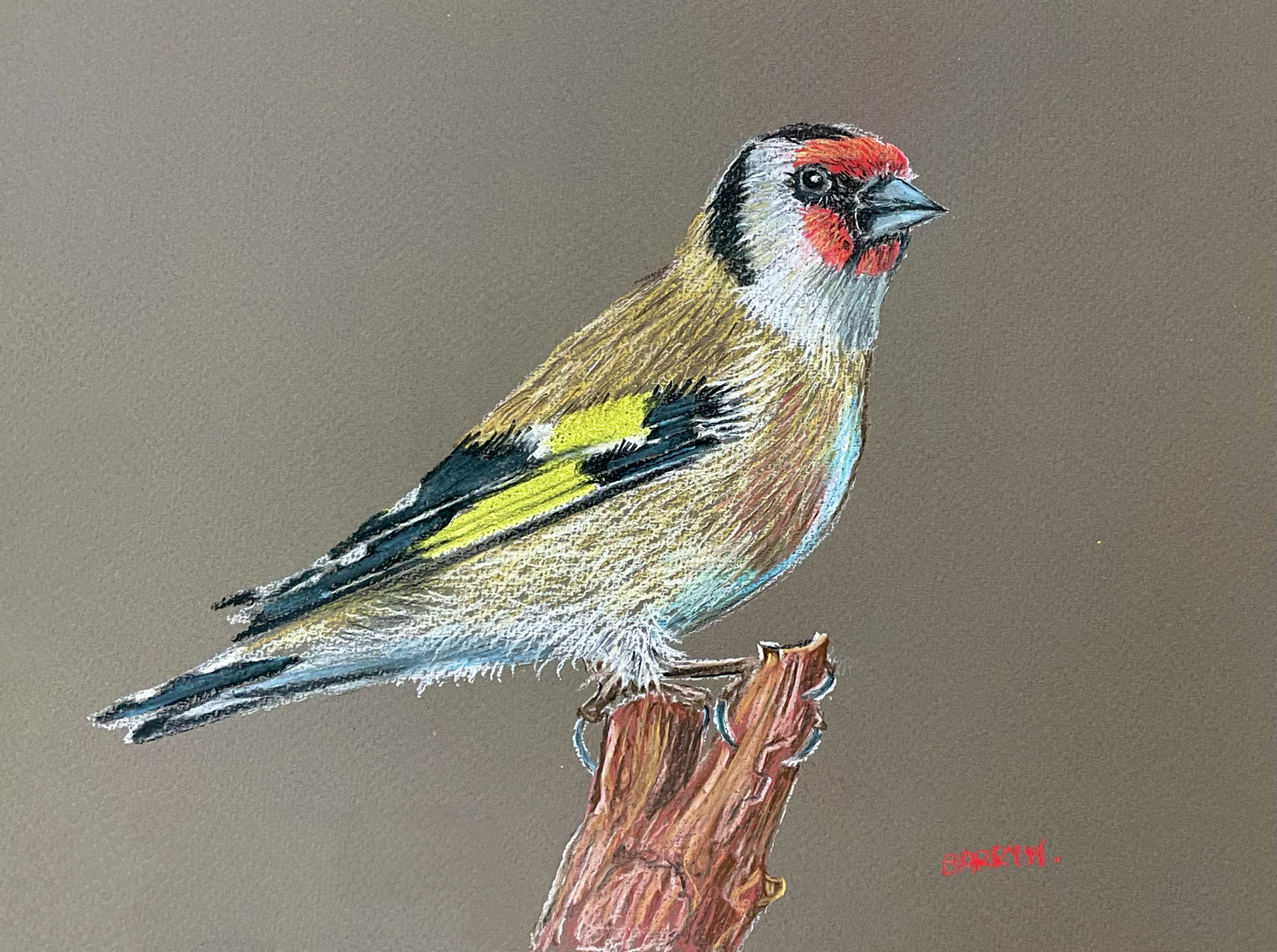 Goldfinch in Pastels