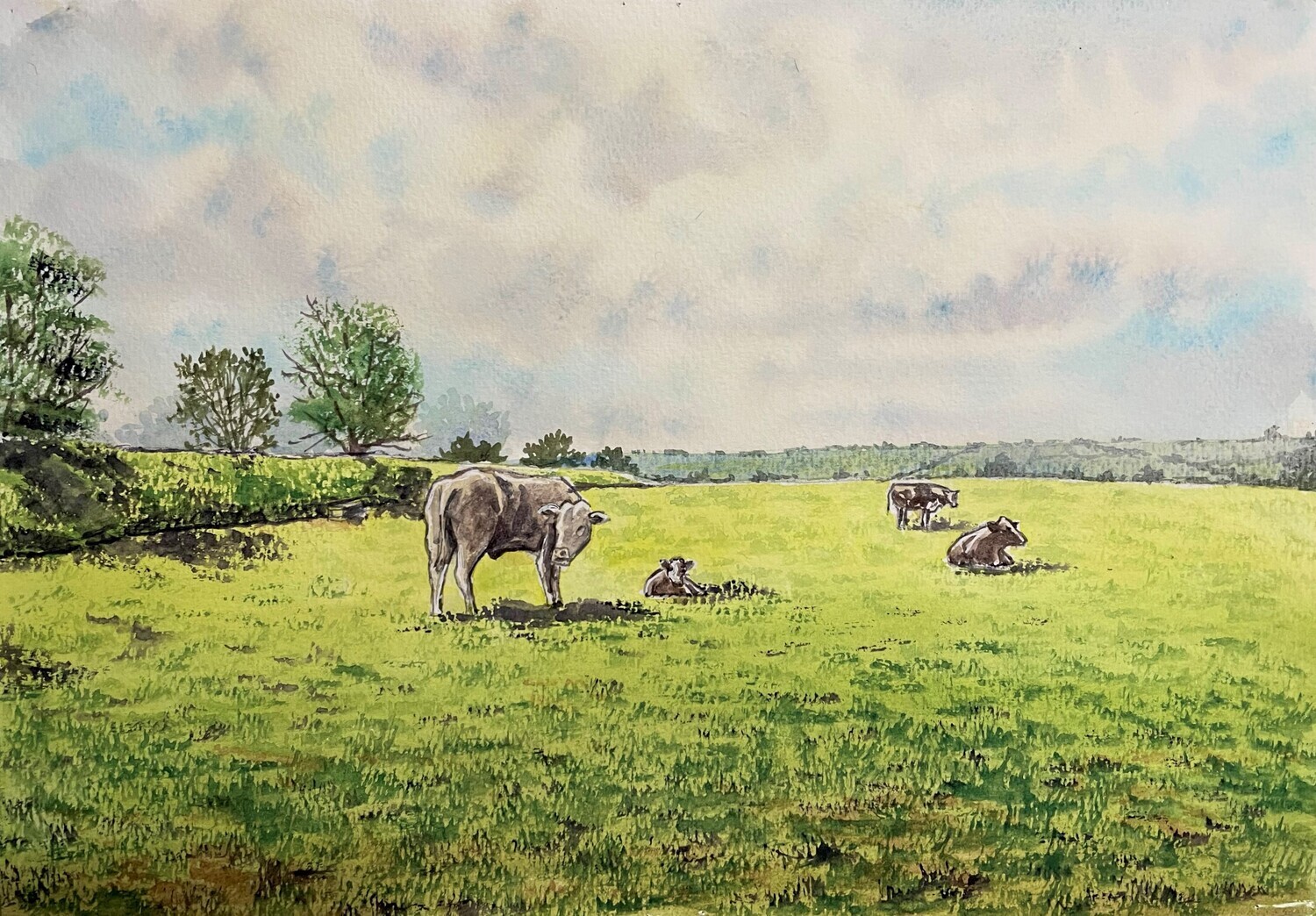 Cows in a Field in Watercolour
