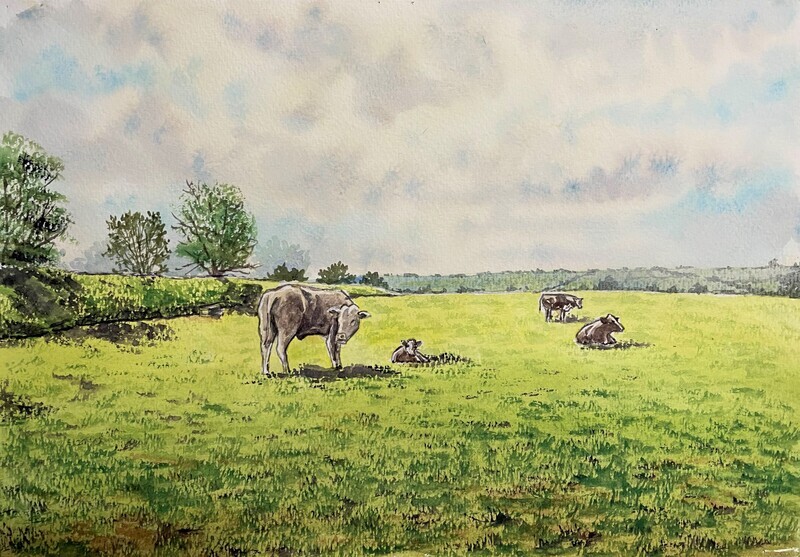 Cows in a Field in Watercolour