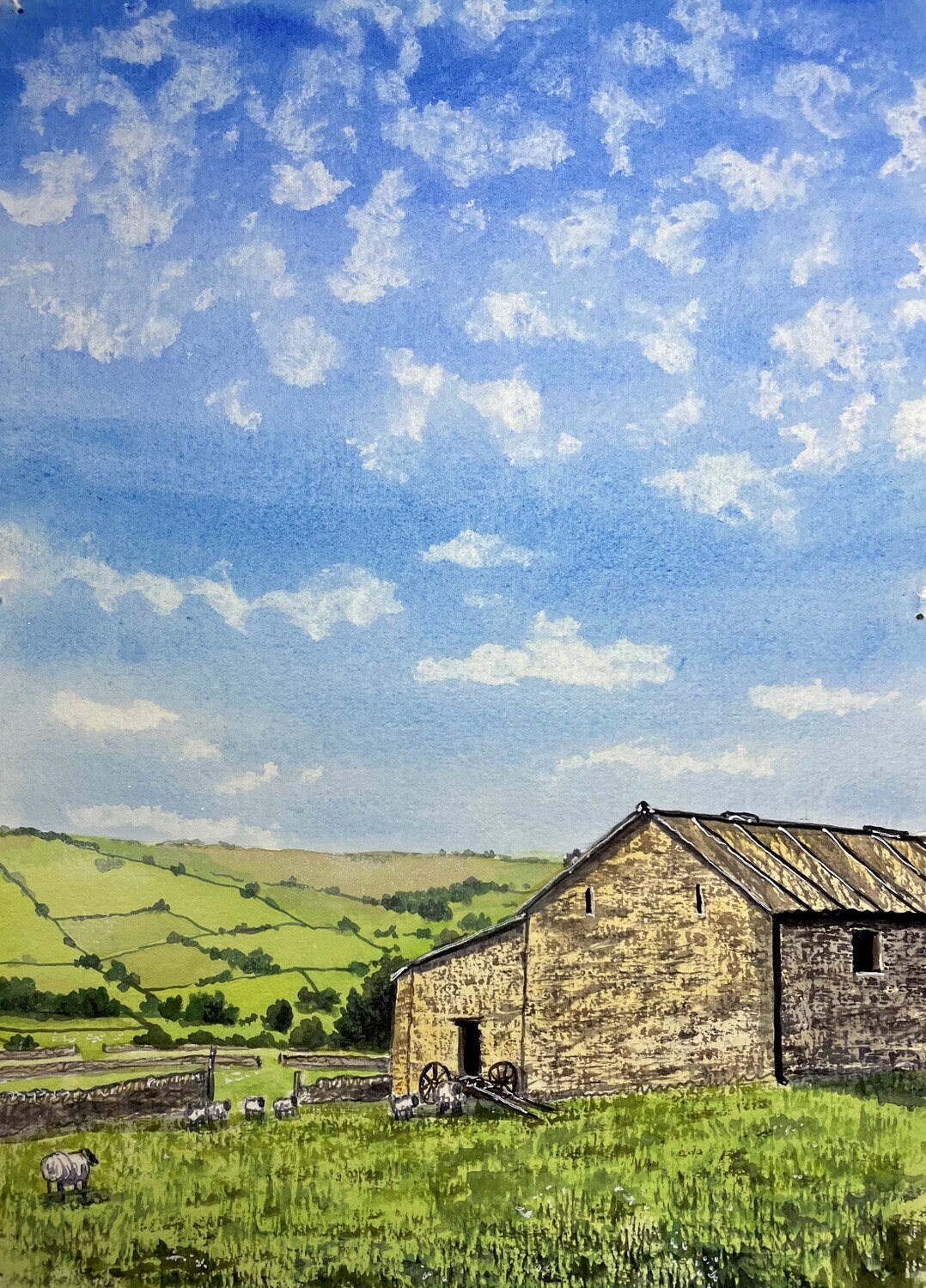 Barn, Fields &amp; Sheep at Nidderdale in Watercolour