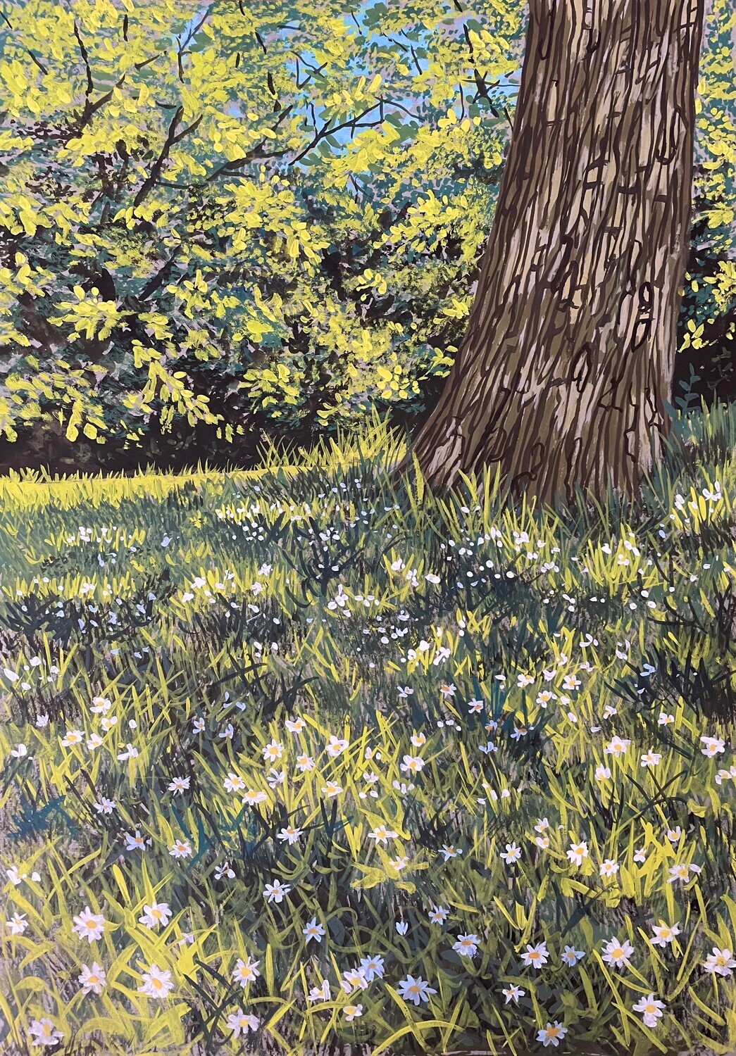 Daisies Underneath a Tree in Gouache