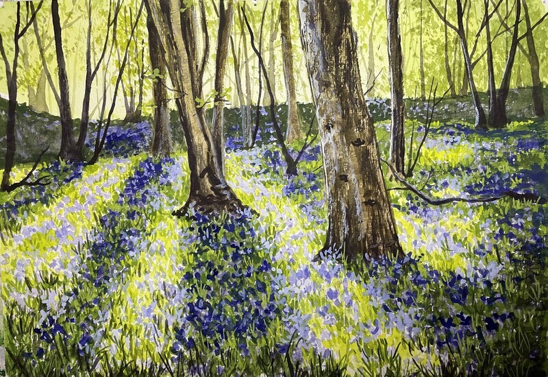 Bluebell Woods with Sunshine and Shadows in Watercolour