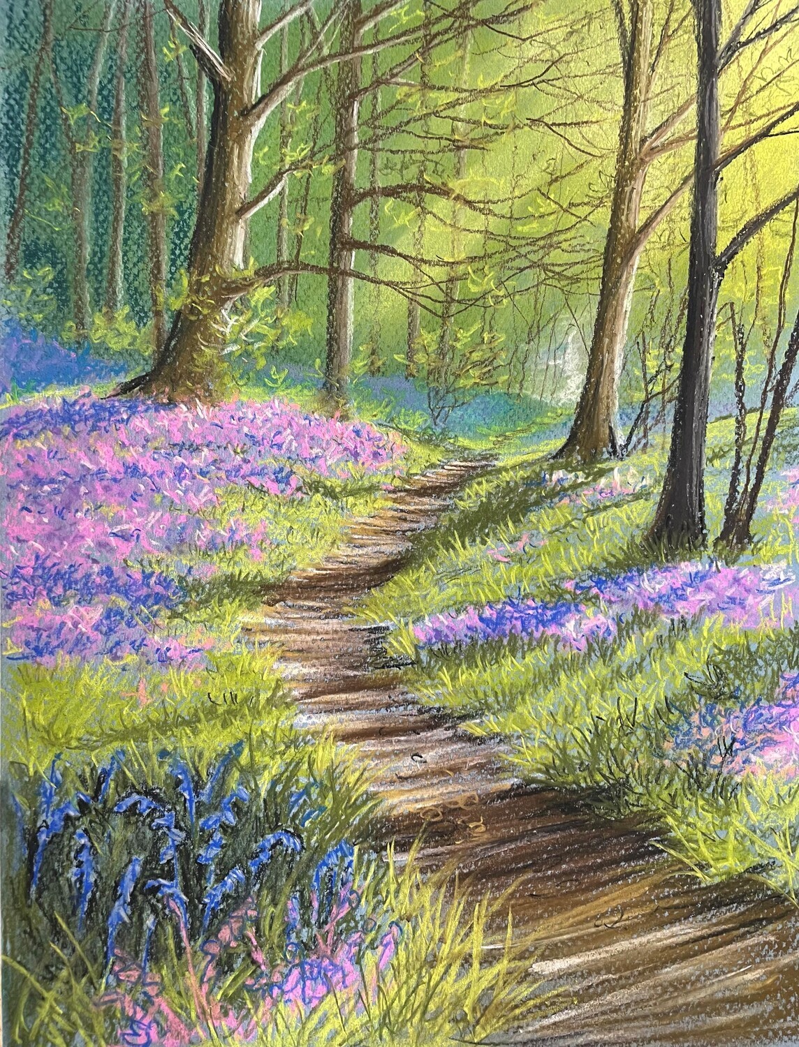 Bluebell Wood in Pastels