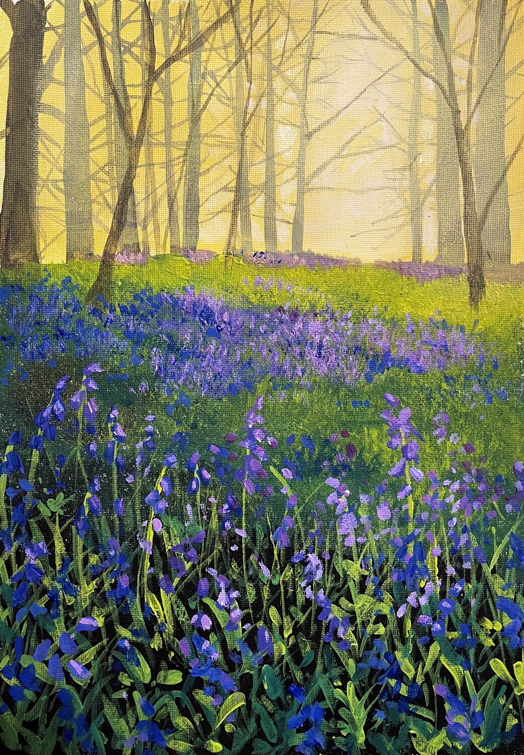 Bluebell Wood as the Evening Sun Passes Through in Acrylics