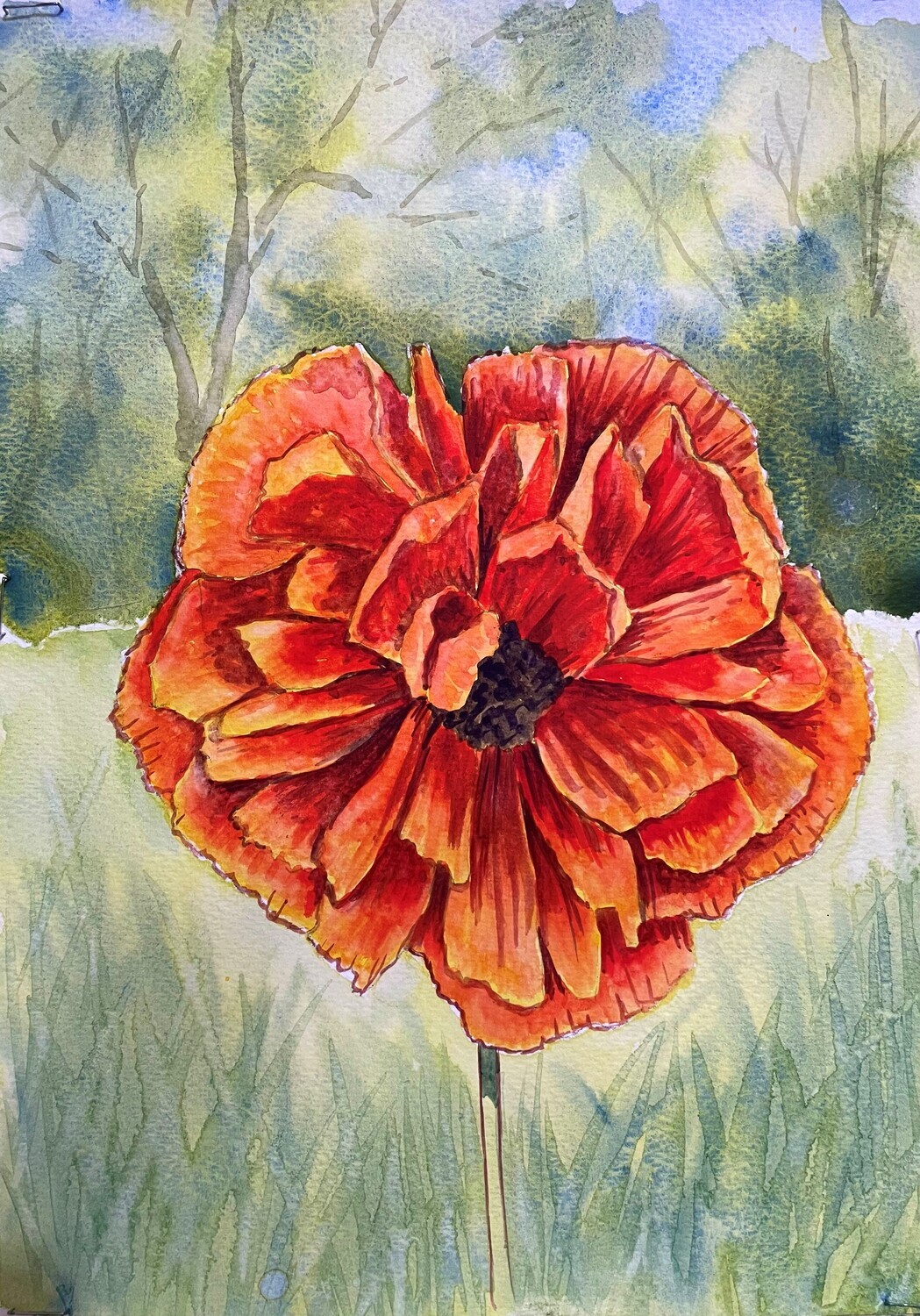 Close Up of a Red Frilly Edged Poppy in Watercolour