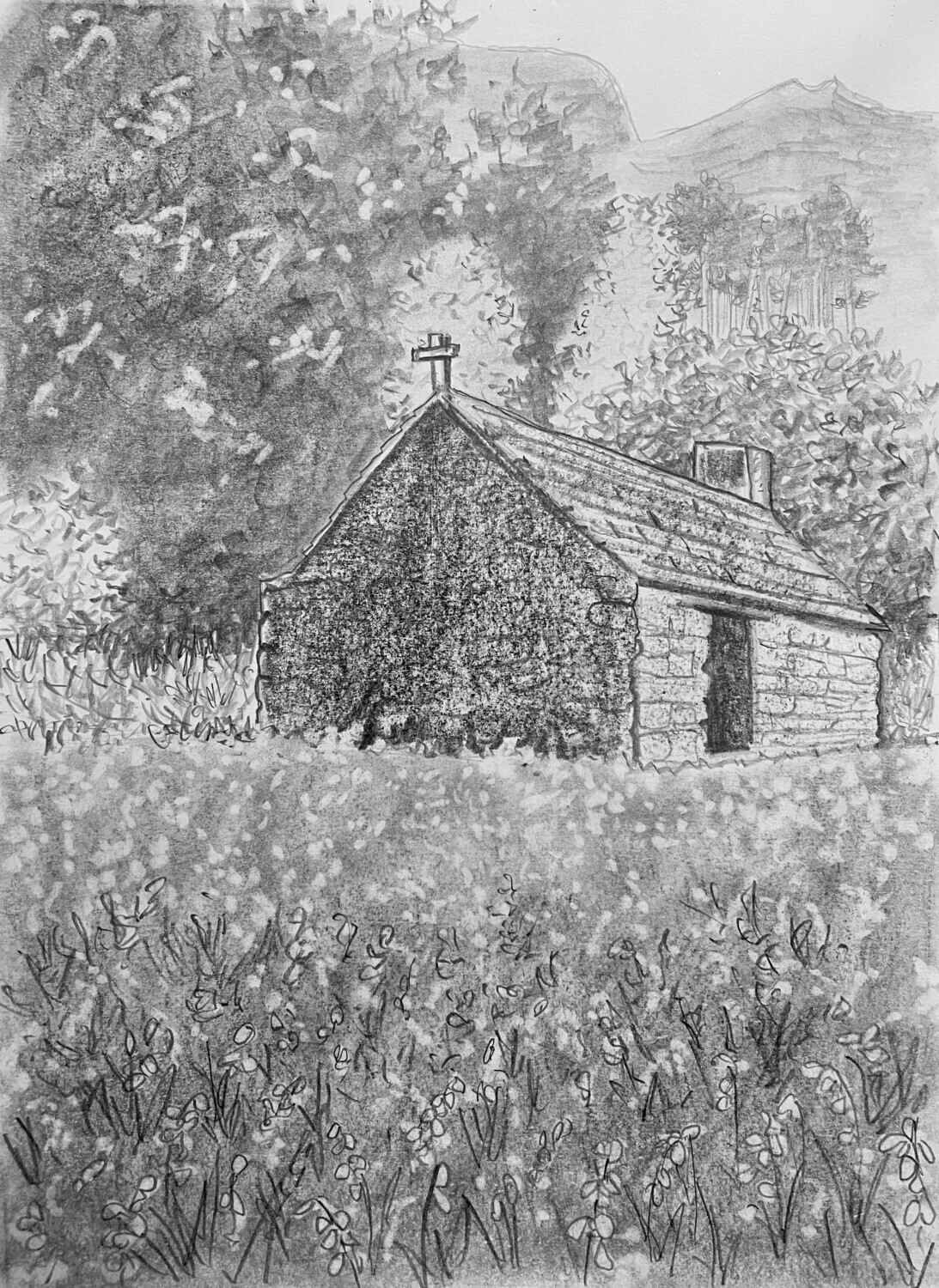 Cottage at Ballachulish Among the Bluebells in Pencil