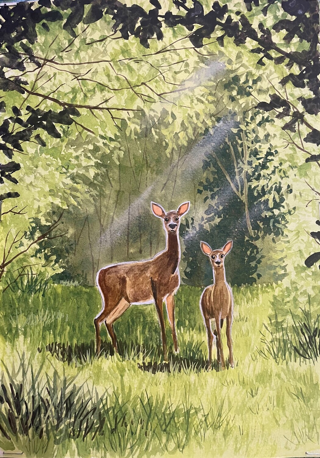 Two Deer in a Forest in Watercolour