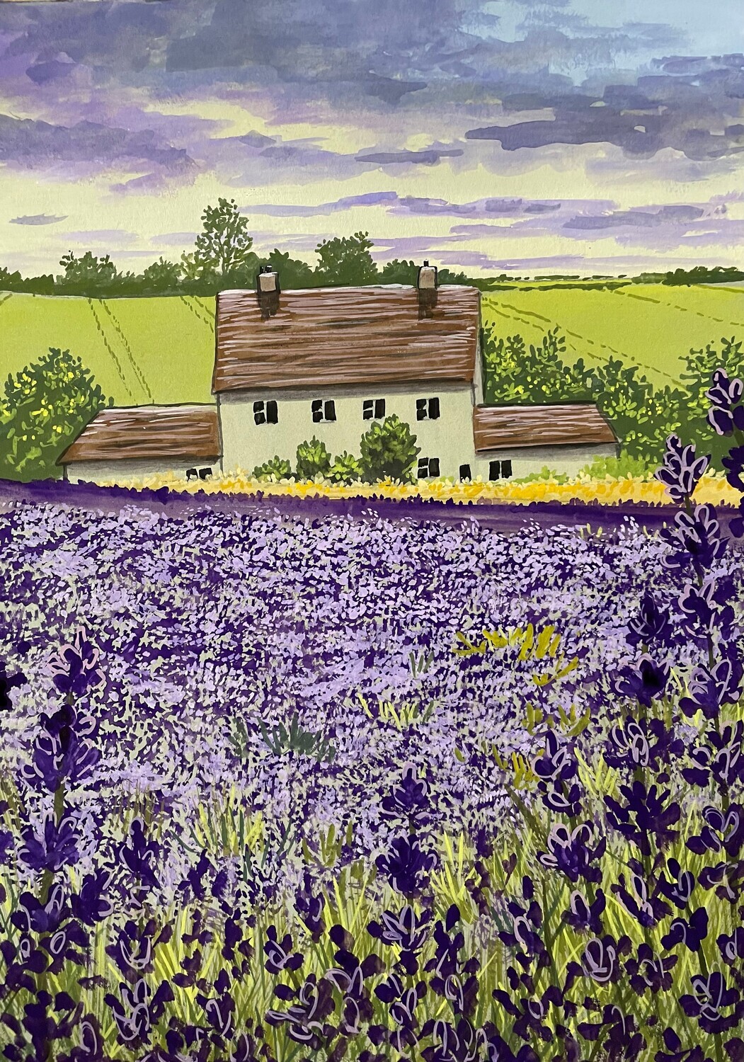 Cotswold Lavender Field and Cottage in Gouache