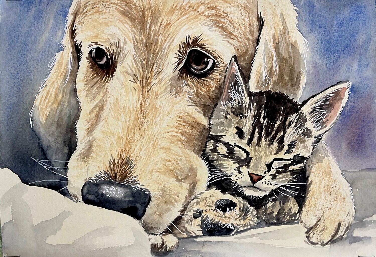 Labrador and Kitten in Watercolour