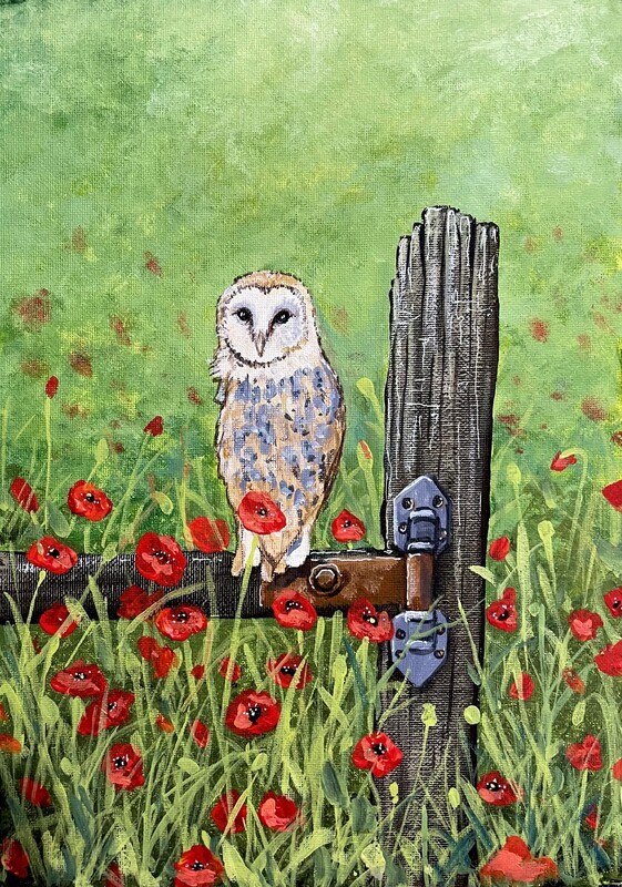 Barn Owl on a Fence Behind Poppies in Acrylics