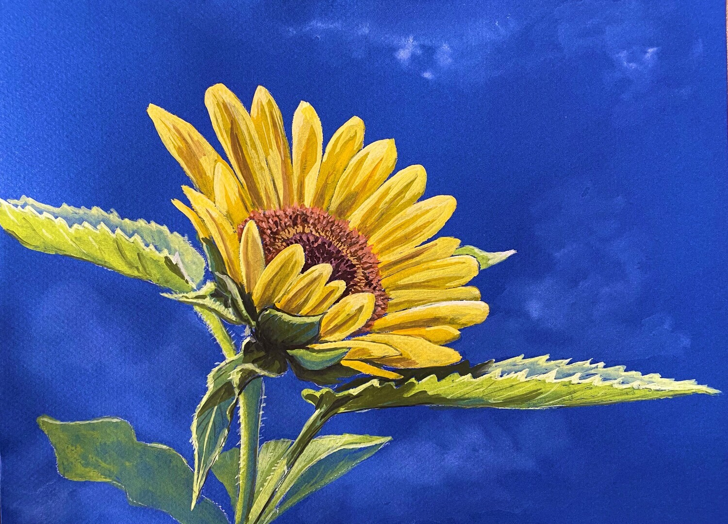 Sunflower and a Blue Sky in Gouache
