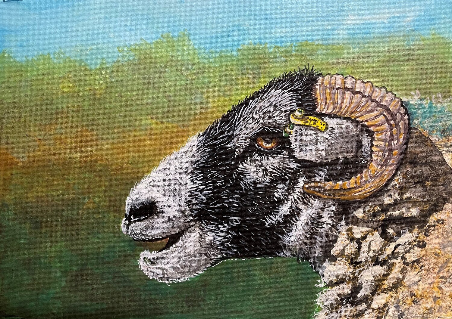 Ram&#39;s Head up Close in Acrylics