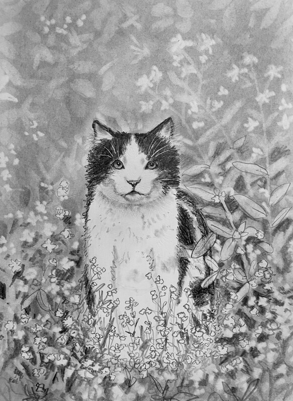 Black and White Cat in Flowers in Pencil