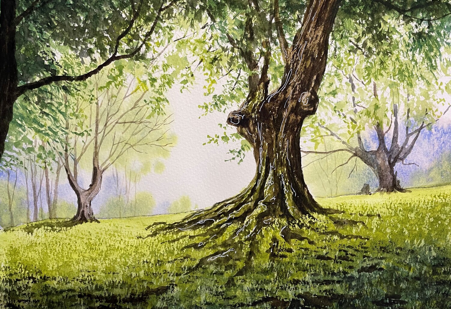 Ancient Forest in Watercolour