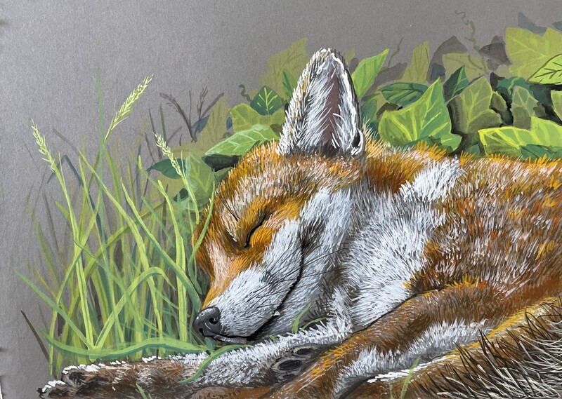 Sleeping Fox in Gouache