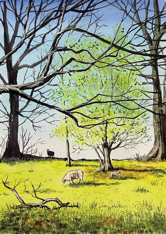 Sunlight, Trees, and Sheep in Watercolour