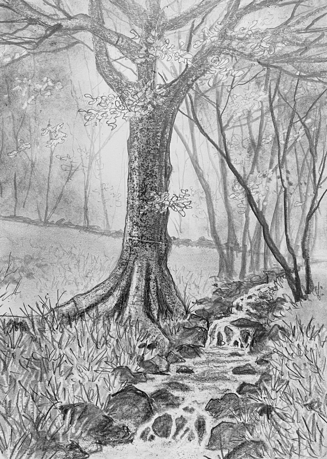 Tree and Waterfall in Pencil