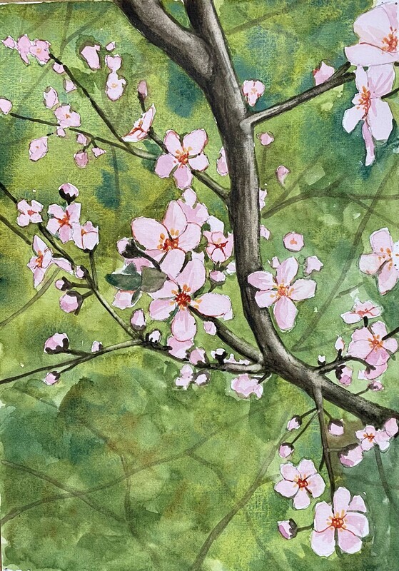 Blossom on a Branch in Watercolour