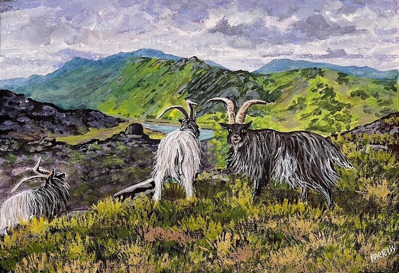 Mountains and Goats in Acrylics