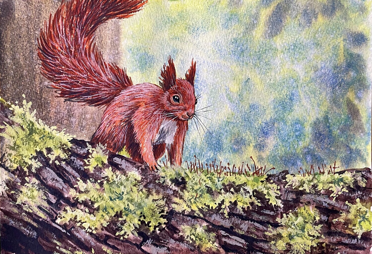 Red Squirrel Climbing a Log in Watercolour
