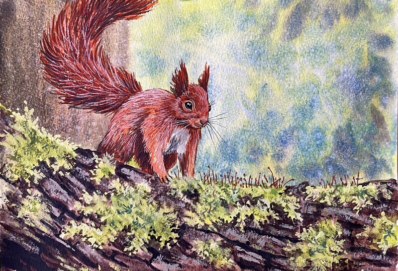Red Squirrel Climbing a Log in Watercolour
