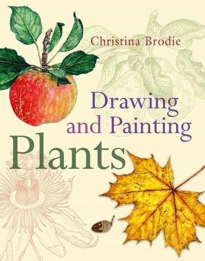 Drawing and Painting Plants - by Christina Brodie (paperback)