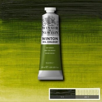 Winton Oil Paint 37ml Tube