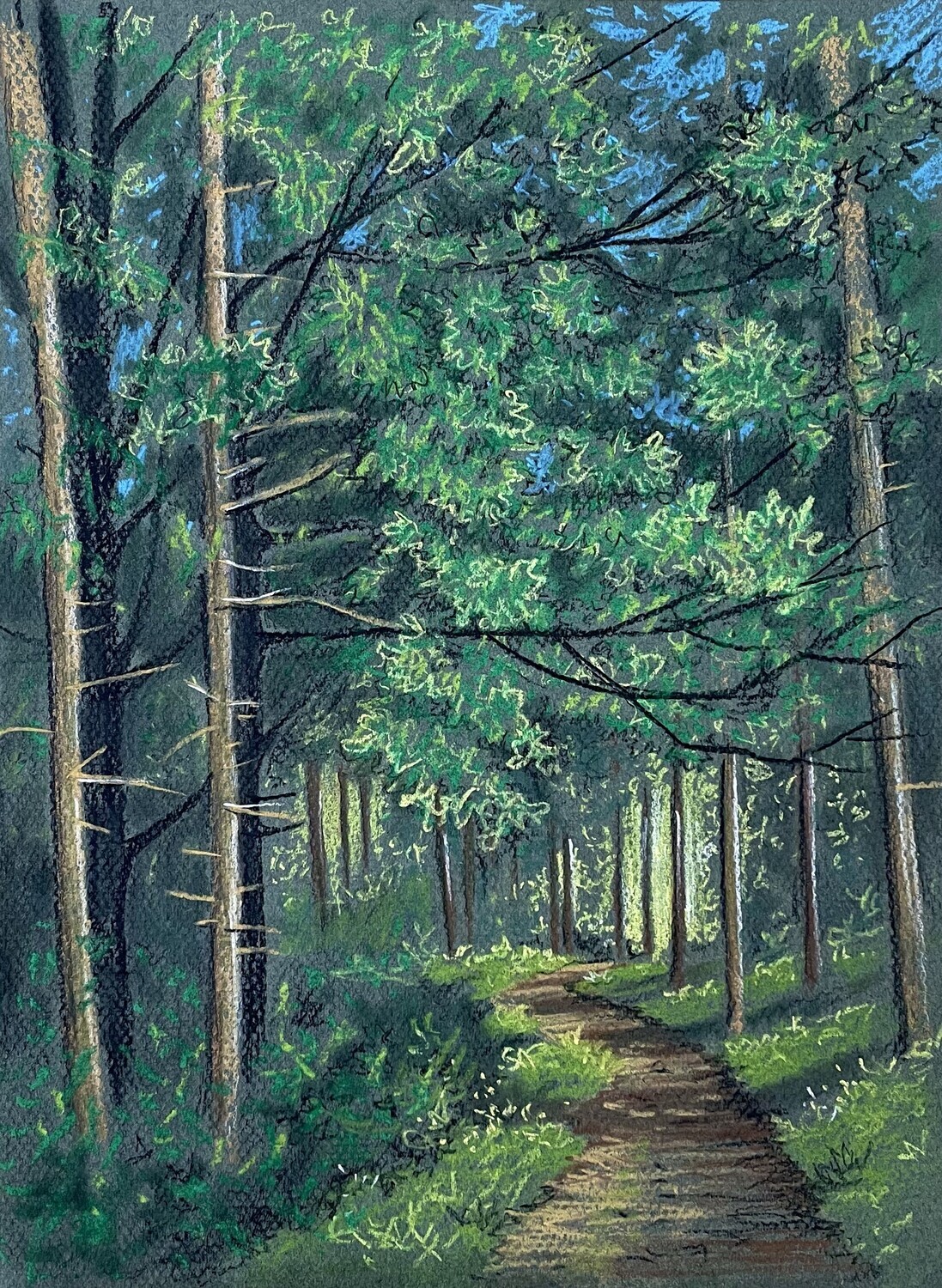Forest Path in Pastels