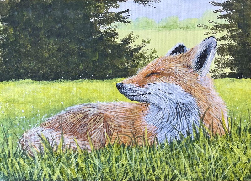 Fox in the Sunlight in Acrylics