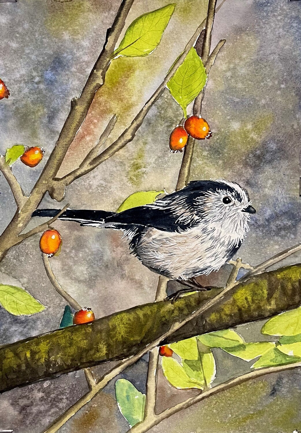 Long Tailed Tit in Watercolour