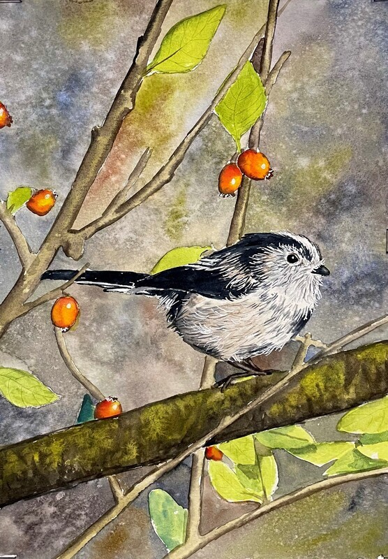 Long Tailed Tit in Watercolour