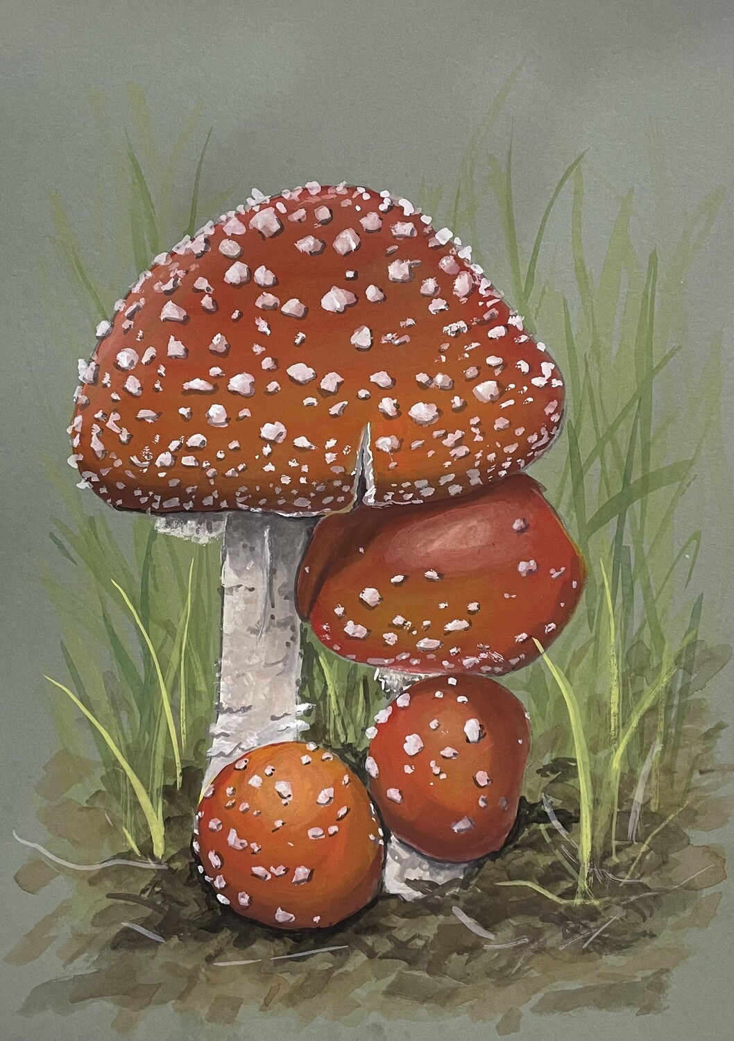 Fly Agaric Toadstools in Gouache