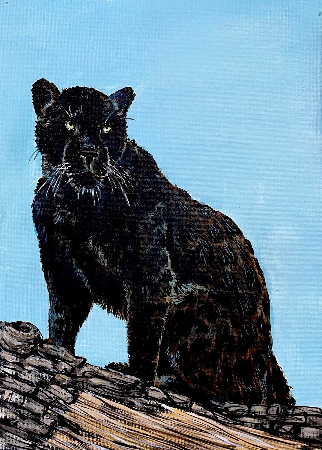 Black Leopard in Acrylics