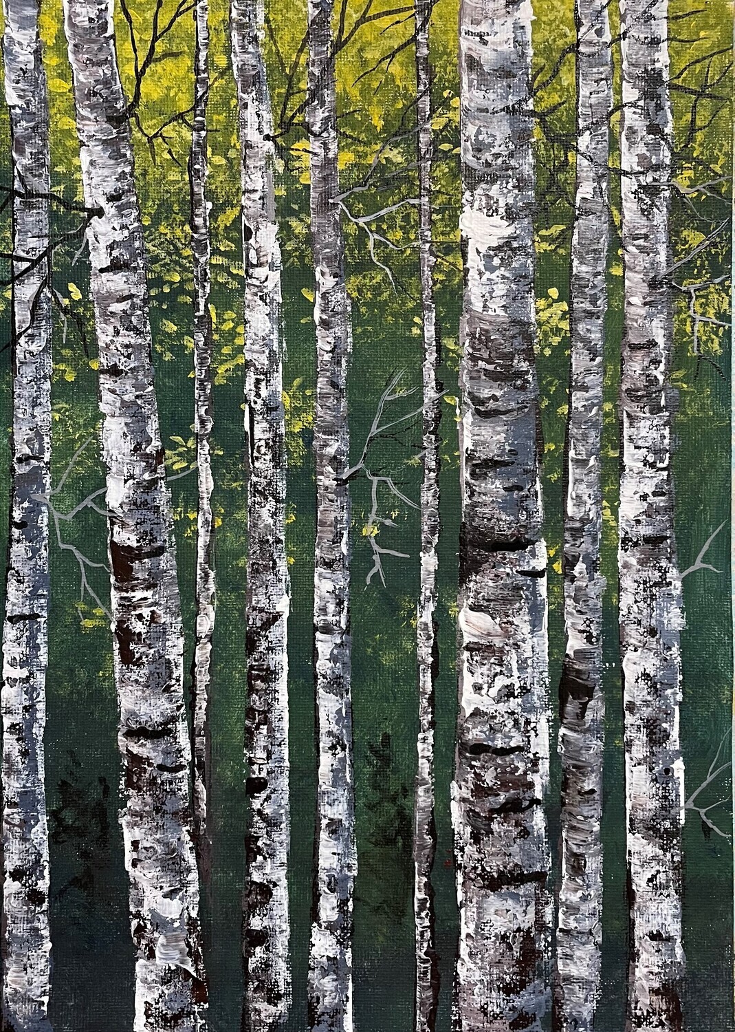 SIlver Birches Everywhere in Acrylics