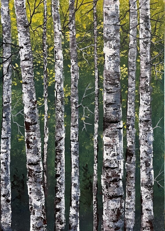 SIlver Birches Everywhere in Acrylics