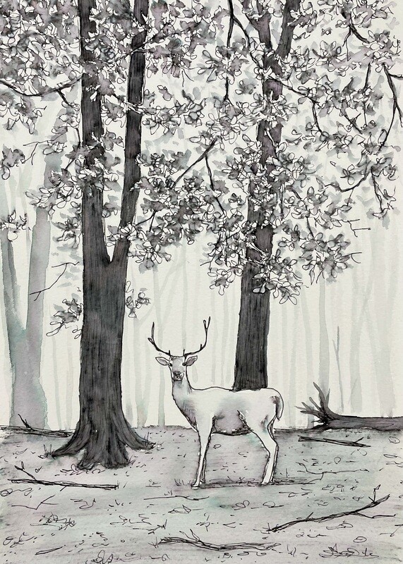 Stag in a Woodland in Pen &amp; Wash