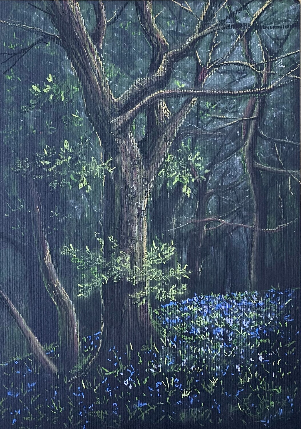 Spooky Padley Gorge in Pastels