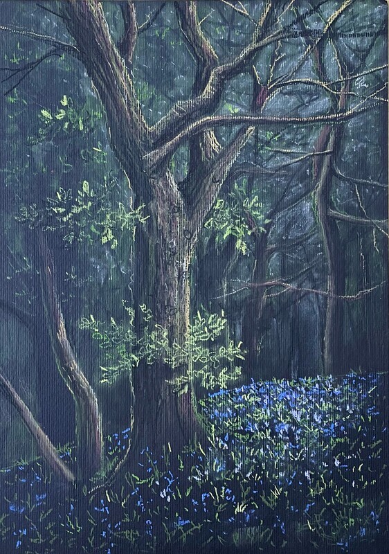Spooky Padley Gorge in Pastels