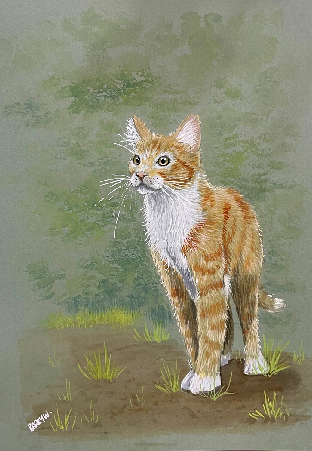 Kitten in the Garden in Gouache