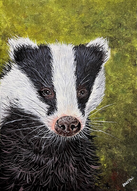 Badger Portrait in Acrylics