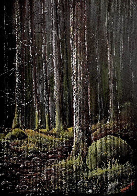 Dark Whinlatter Forest, Lake District in Pastels
