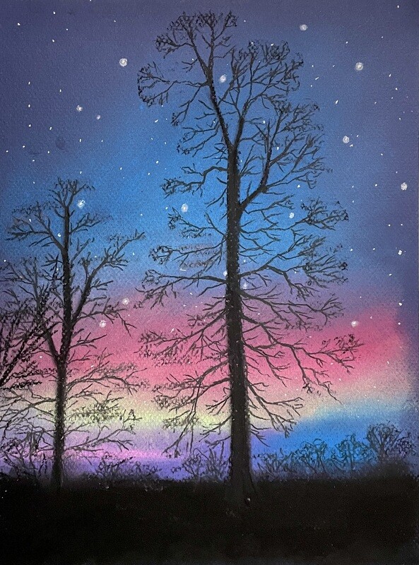 Colourful Night Sky &amp; Tree Silhouettes in Pastels