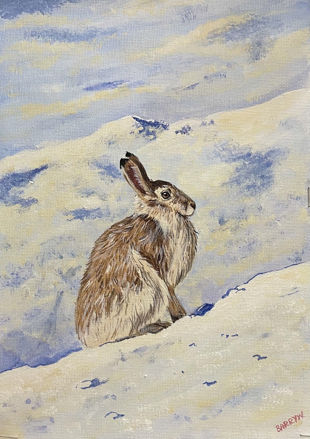 Hare in the Snow in Acrylics