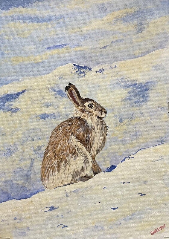 Hare in the Snow in Acrylics