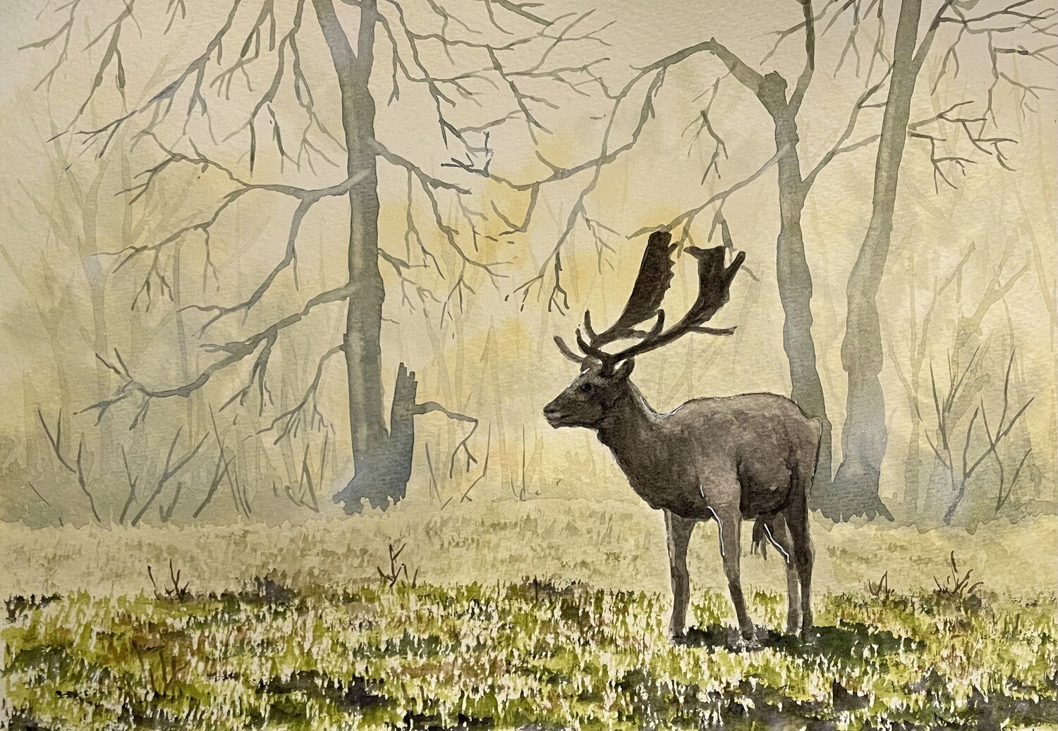 Stag in a Frosty, Misty Forest in Watercolour