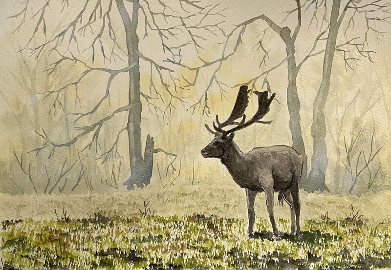 Stag in a Frosty, Misty Forest in Watercolour