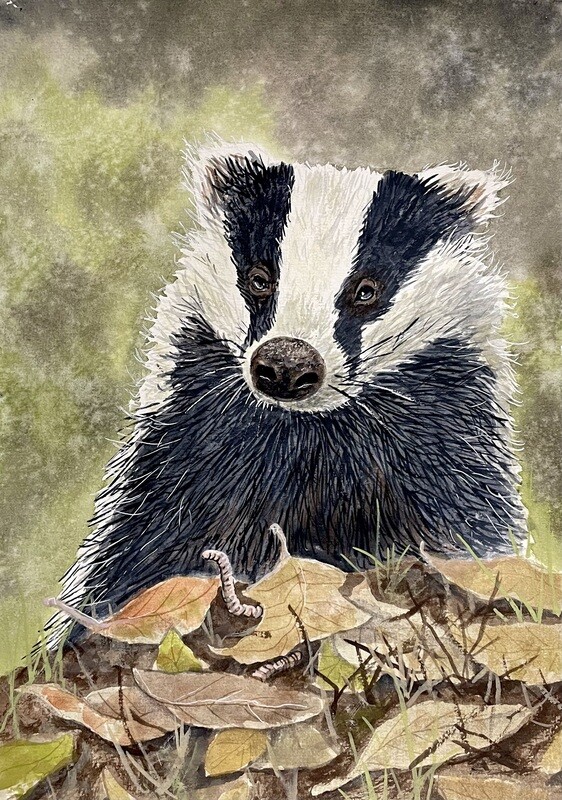 Happy Badger in Watercolour